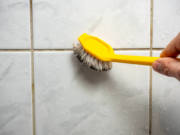 Best Preventive Mold Services in Louisville, OH